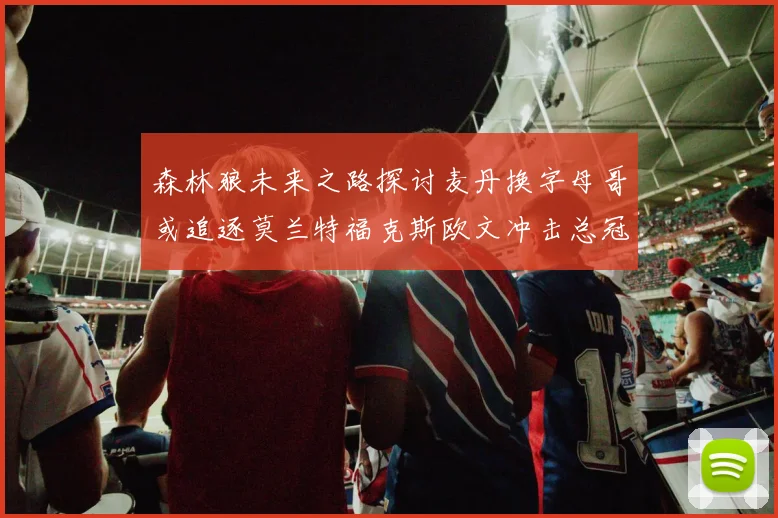森林狼未来之路探讨麦丹换字母哥或追逐莫兰特福克斯欧文冲击总冠军