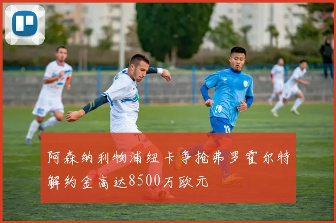 阿森纳利物浦纽卡争抢弗罗霍尔特解约金高达8500万欧元