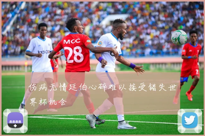 伤病无情廷伯心碎难以接受错失世界杯机会